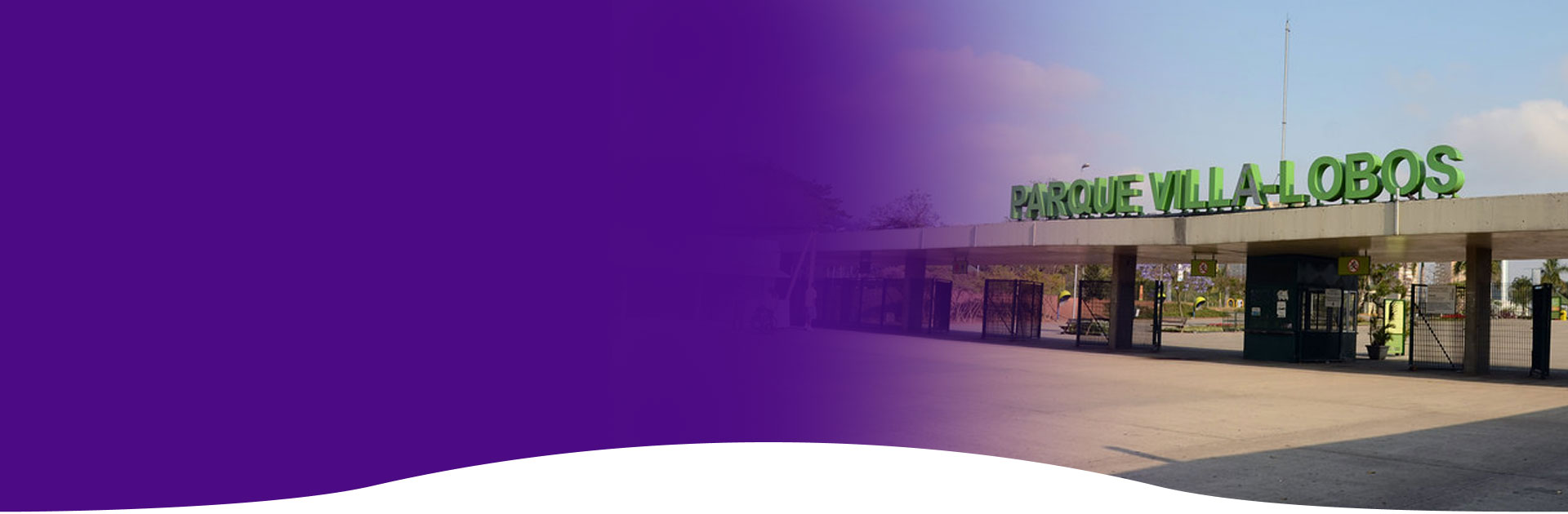 Maio Roxo - Parque Villa Lobos - 18/05/2025 - 10h00