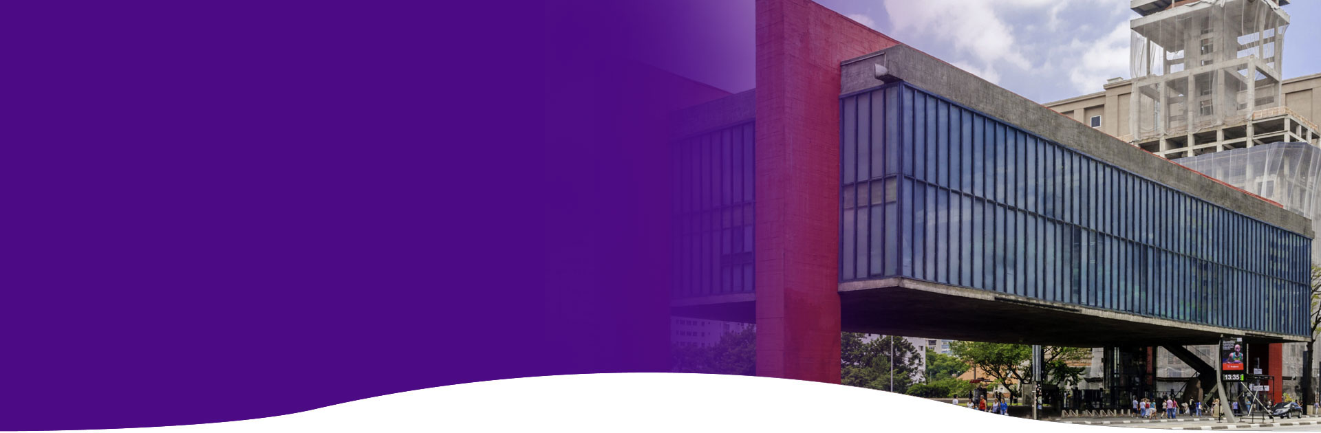 Caminhada Maio Roxo - Av. Paulista